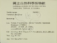 韌革菌屬藏品圖，第2張