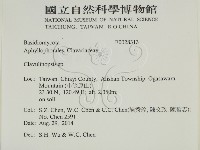 登錄號:F0028313藏品圖，第2張