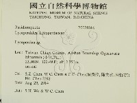 登錄號:F0028314藏品圖，第2張