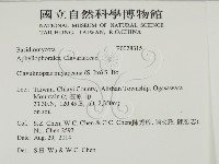 登錄號:F0028315藏品圖，第2張