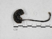 登錄號:F0028317藏品圖，第1張