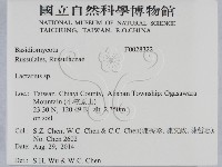 乳菇屬藏品圖，第2張