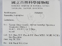 乳菇屬藏品圖，第2張