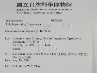 登錄號:F0028325藏品圖，第2張