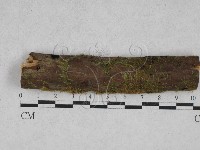 登錄號:F0028329藏品圖，第1張