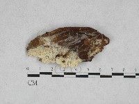 登錄號:F0028331藏品圖，第1張