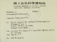 登錄號:F0028332藏品圖，第2張