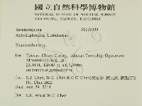 顯絲菌屬藏品圖，第2張