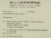 登錄號:F0028336藏品圖，第2張