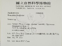 韌革菌屬藏品圖，第2張