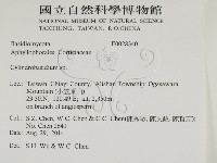 登錄號:F0028340藏品圖，第2張