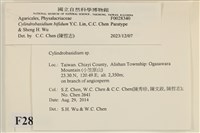登錄號:F0028340藏品圖，第3張
