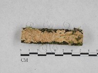 登錄號:F0028341藏品圖，第1張