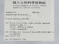 雲芝藏品圖，第2張