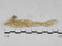 登錄號:F0028344藏品圖，第1張