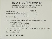 附毛菌屬藏品圖，第2張