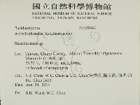 齒耳菌屬藏品圖，第2張