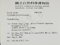 絲齒菌屬藏品圖，第2張