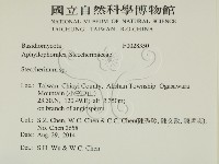 齒耳菌屬藏品圖，第2張