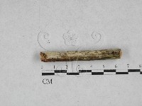 登錄號:F0028351藏品圖，第1張