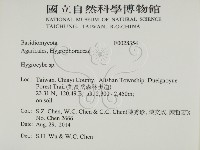 濕傘屬藏品圖，第2張