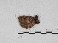登錄號:F0028356藏品圖，第1張