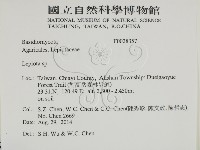 登錄號:F0028357藏品圖，第2張