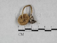 登錄號:F0028357藏品圖，第1張
