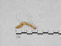 登錄號:F0028358藏品圖，第1張
