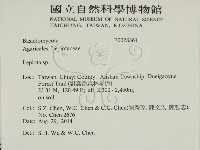 登錄號:F0028361藏品圖，第2張