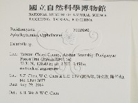 登錄號:F0028362藏品圖，第2張