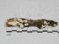 登錄號:F0028362藏品圖，第1張