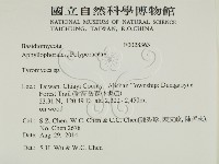 乾酪菌屬藏品圖，第2張