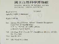 絲齒菌屬藏品圖，第2張