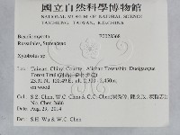 登錄號:F0028368藏品圖，第2張