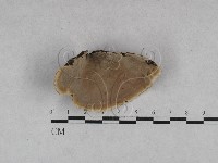 登錄號:F0028368藏品圖，第3張