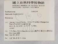 登錄號:F0028369藏品圖，第2張