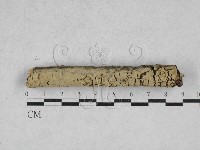 登錄號:F0028371藏品圖，第1張