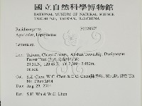 登錄號:F0028375藏品圖，第2張