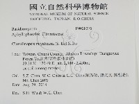 登錄號:F0028376藏品圖，第2張