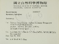 韌革菌屬藏品圖，第2張