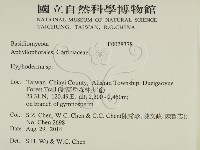 絲皮菌屬藏品圖，第2張