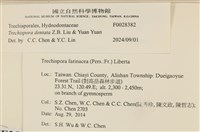 登錄號:F0028382藏品圖，第3張