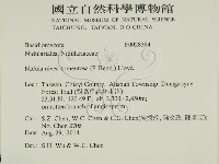 登錄號:F0028384藏品圖，第2張