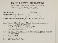 登錄號:F0028386藏品圖，第2張