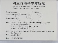 登錄號:F0028388藏品圖，第2張