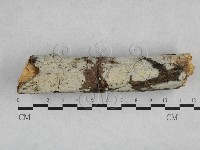 登錄號:F0028388藏品圖，第1張