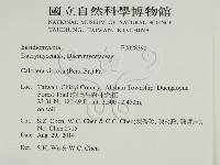登錄號:F0028390藏品圖，第2張