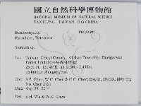 韌革菌屬藏品圖，第2張