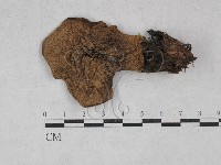 登錄號:F0028396藏品圖，第3張